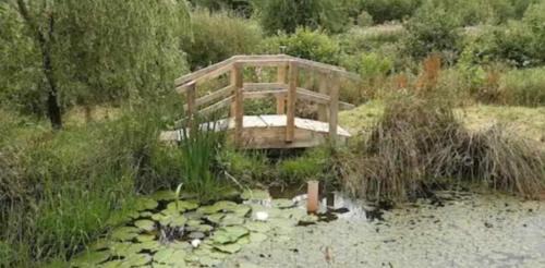 Bronwydd House | Tara vegetarian retreat guesthouse