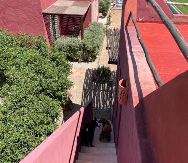 Ghazoua House | TARGANINE Lodge