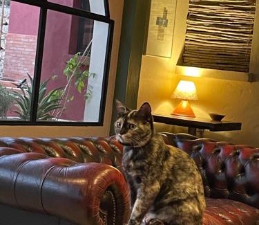 Ghazoua House | TARGANINE Lodge