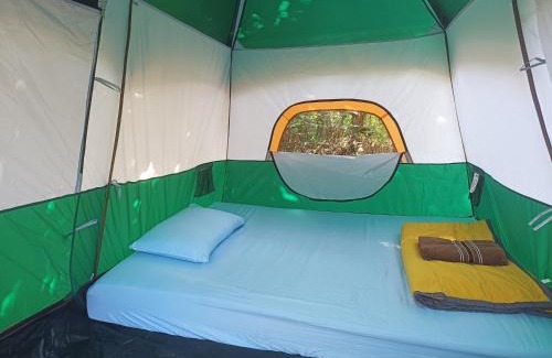 Khlong Sok House | Tarzan's Camp