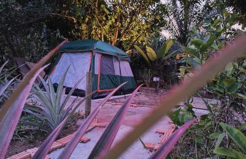 Khlong Sok House | Tarzan's Camp