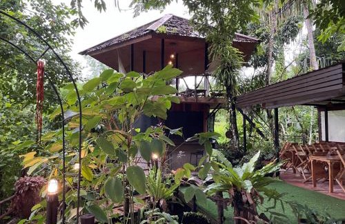 Khlong Sok House | Tarzan's Camp