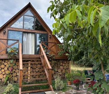 Tsalka Ski Chalet | Tasia's Cottage