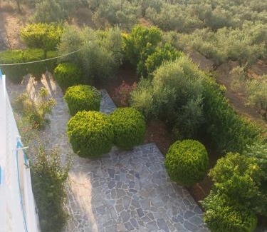 Laganas Apartment | Tassos & Marios Apartments I