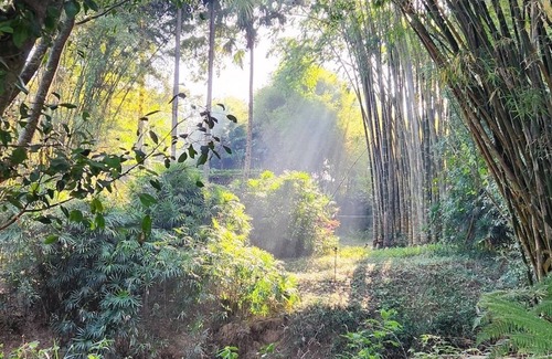 Wieng Villa | Tatvani Thailand - Private All-Inclusive Estate