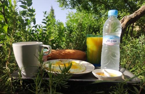 Taza Apartment | Taza Apartment Hotel With Restaurant & Parking