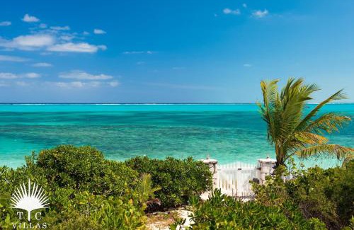 Providenciales Villa | TC Villas -Reef Beach House -Picture Perfect Grace Bay Beach