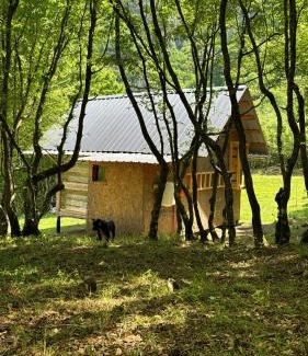 Sakës Cabin | Te Baca