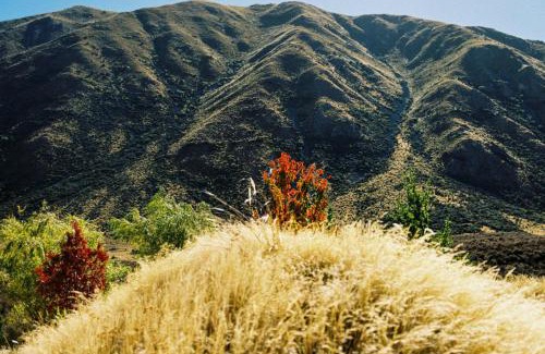 Ben Ohau Apartment | Te Manahuna Retreat