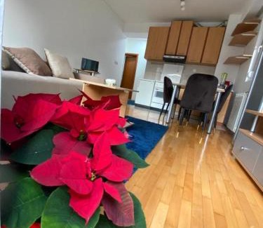 Centar Apartment | Tea Apartment
