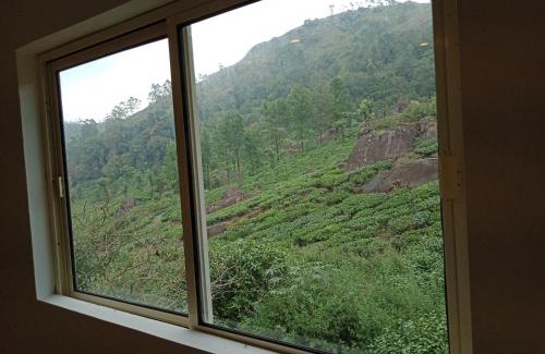 Devikolam House | Tea Dale - All rooms with Tea Estate view
