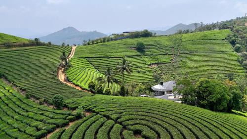 Elappara Villa | Tea Harmony Bunglow
