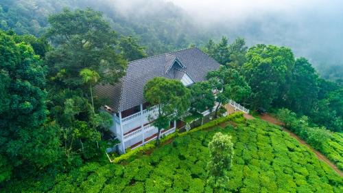 Chithirapuram Resort | Tea Harvester