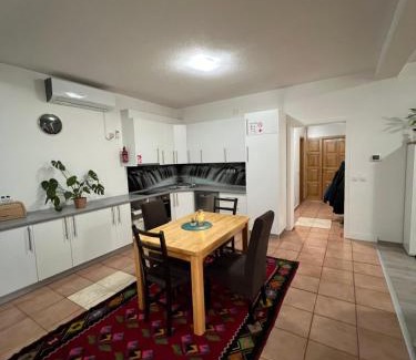 Mali Radic Apartment | Teal Apartment 1