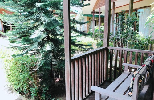 Santa Cruz Bed & Breakfast | Ted's Bed and Breakfast