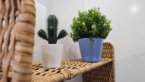 Ljubljana Apartment | Teeny tiny
