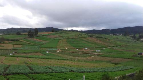 Ooty Villa | TeeStay Redfort Villa