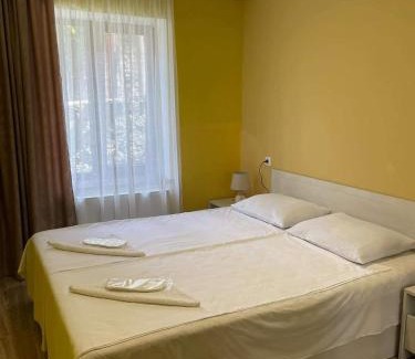 Telavi Apartment | Telavi 51