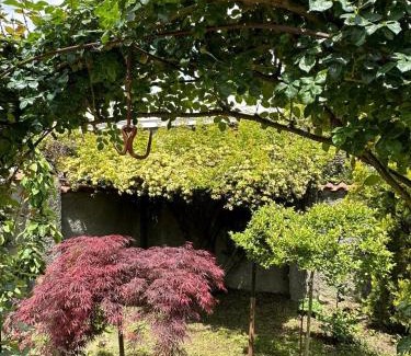 Telavi Apartment | Telavi guesthouse