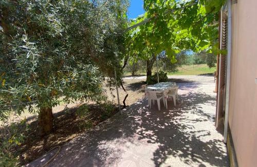 Carrozziere House | Tempio di Giove Park