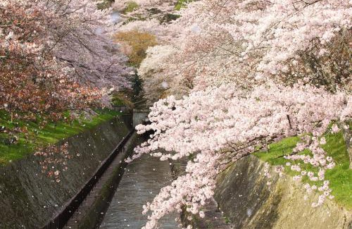 Otsu House | Temple-stay WAQOO Mii-dera