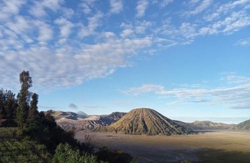 Ngadisari House | Tengger Indah Seruni Bromo