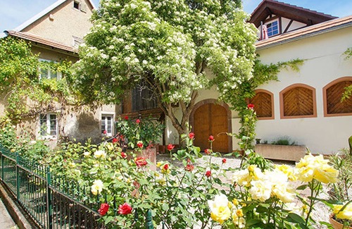 Bickensohl Apartment | Tenne, 60 qm mit Garten und 1 Schlafzimmer für max. 2 Personen