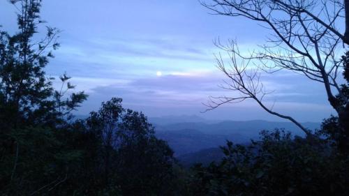 Udumbanchola Other | Tent Camping at Ealakka Farm Stay