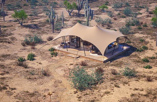 Marana House | Tent Cholla