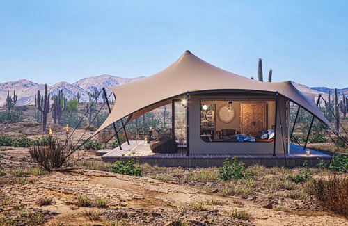 Marana House | Tent Cholla