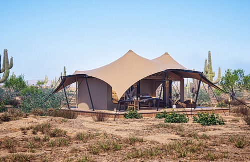 Marana House | Tent Ocotillos