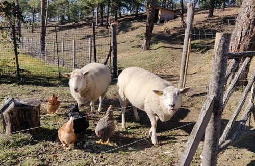 Peyrins Other | Tente en pleine nature sur la colline
