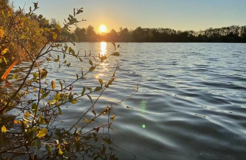 Le Vigeant Other | Tente luxe vue Etang avec jacuzzi 4