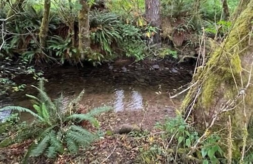 Oregon Coast RV Rental | Tentrr Signature Site - Rippling Waters Retreat...