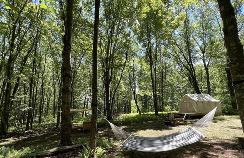 Ellenville RV Rental | Tentrr Signature Site - Pangri-La