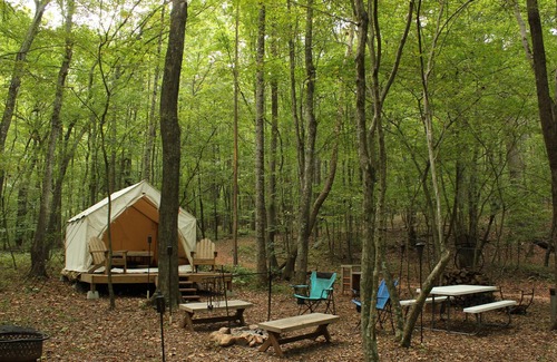 Pittsville RV Rental | Tentrr Signature Site - The Babbling Brook
