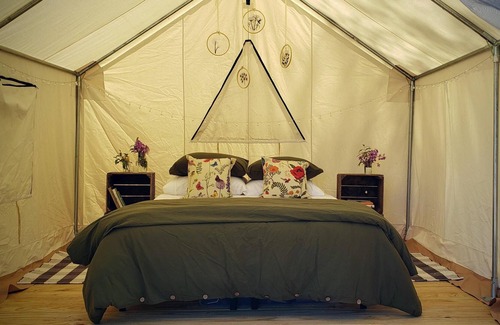 Sharpsburg RV Rental | Tentrr Signature Site - Evensong Farm - Autumn Olive - Coleman Outfitted Site