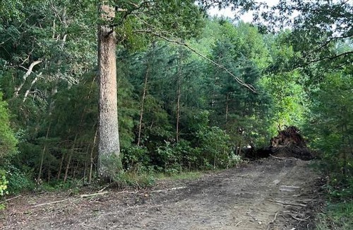Unionville Other | Tentrr Signature Site - Verdiersville Tavern- The Camp at Dearsville