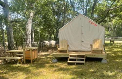 Texas Gulf Coast Region Other | Tentrr State Park Site - Texas Brazos Bend State Park - Trailside B - Single Camp