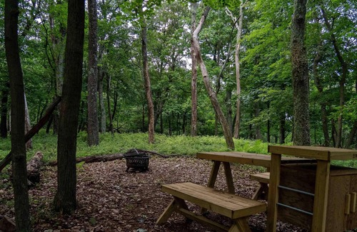 Berkeley Springs RV Rental | Tentrr State Park Site - WV Cacapon State Park - Site I - Single Camp