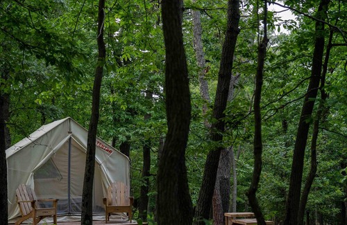 Berkeley Springs RV Rental | Tentrr State Park Site - WV Cacapon State Park - Site G (2.6 miles past Cacapon