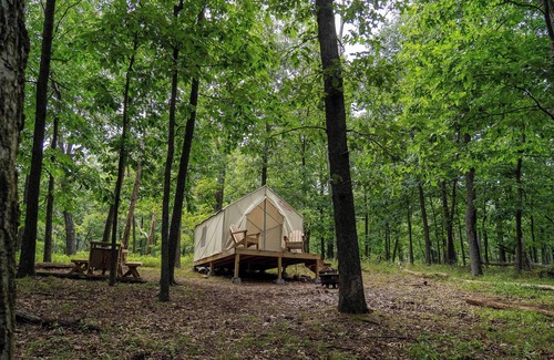 Berkeley Springs RV Rental | Tentrr State Park Site - WV Cacapon State Park - Site C (1.8 miles past Cacapon