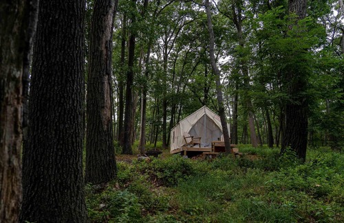 Berkeley Springs RV Rental | Tentrr State Park Site - WV Cacapon State Park - Site B (1.6 miles past Cacapon