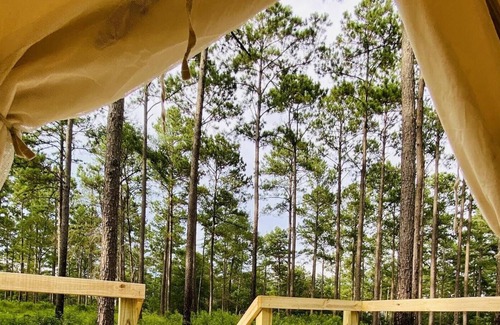 Talisheek RV Rental | Tentrr State Park Site - Louisiana Bogue Chitto State Park - Gorge Trail O - Sin