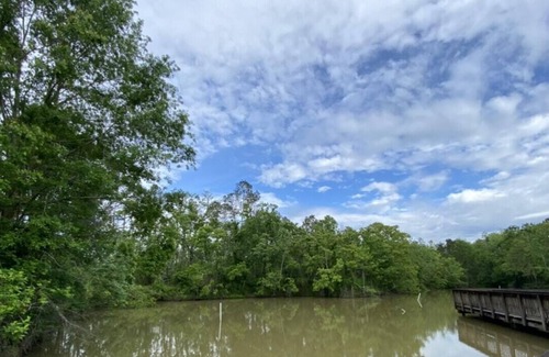 Springfield RV Rental | Tentrr State Park Site - Louisiana Tickfaw State Park - Woodland E - Double Camp
