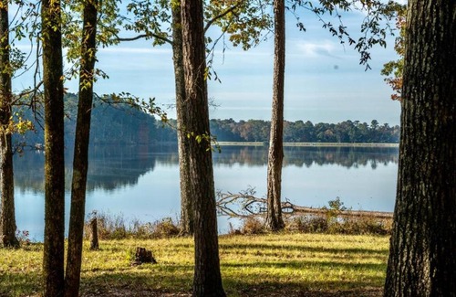 Morton Other | Tentrr State Park Site - Mississippi Roosevelt State Park - Tall Trees B - Single Camp