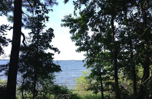 Anacoco RV Rental | Tentrr State Park Site - Louisiana South Toledo Bend State Park - Site G - Sing