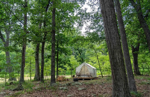 Mathias RV Rental | Tentrr State Park Site - WV Lost River State Park - Wooded Wilderness C - Single