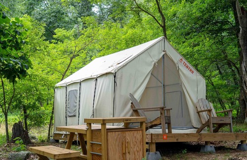 Mathias RV Rental | Tentrr State Park Site - WV Lost River State Park - Wooded Wilderness C - Single