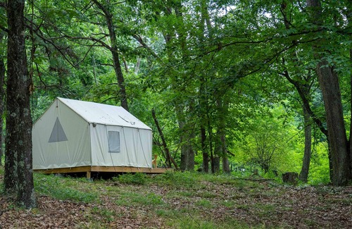 Mathias RV Rental | Tentrr State Park Site - WV Lost River State Park - Wooded Wilderness D - Single